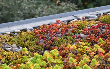 the cost of Shoeburyness green roof installation