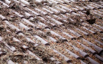 Shoeburyness roof cleaning companies